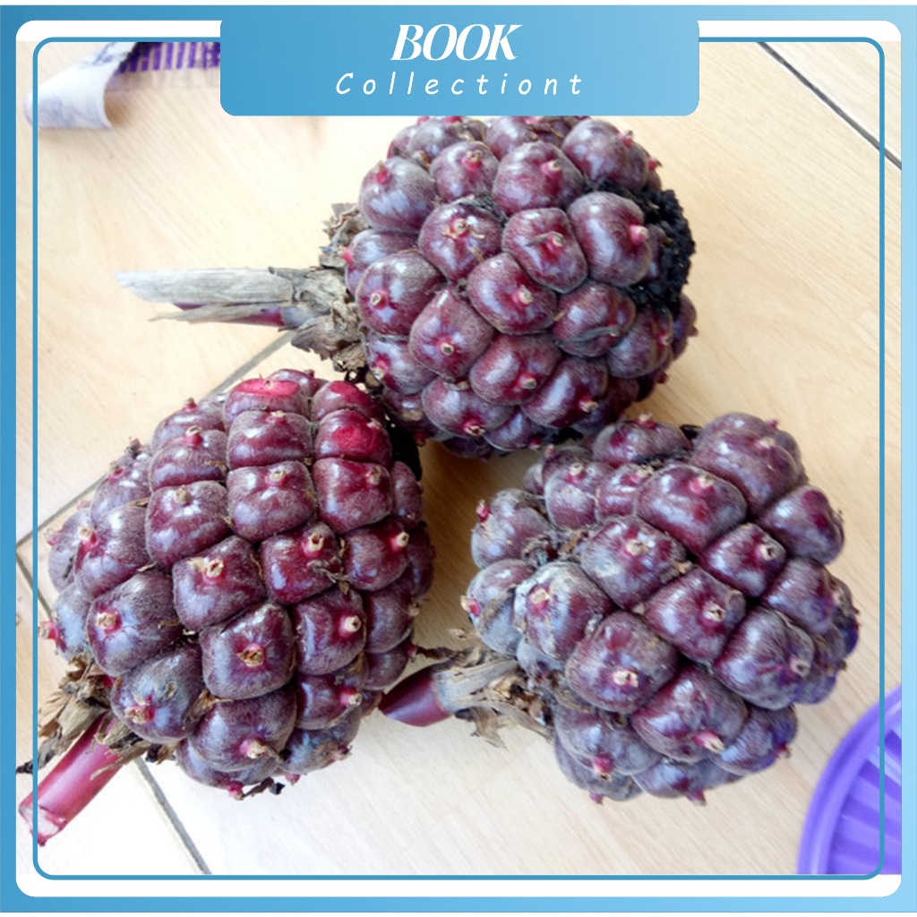 

buah honje laka segar 1 kg / buah honje merah