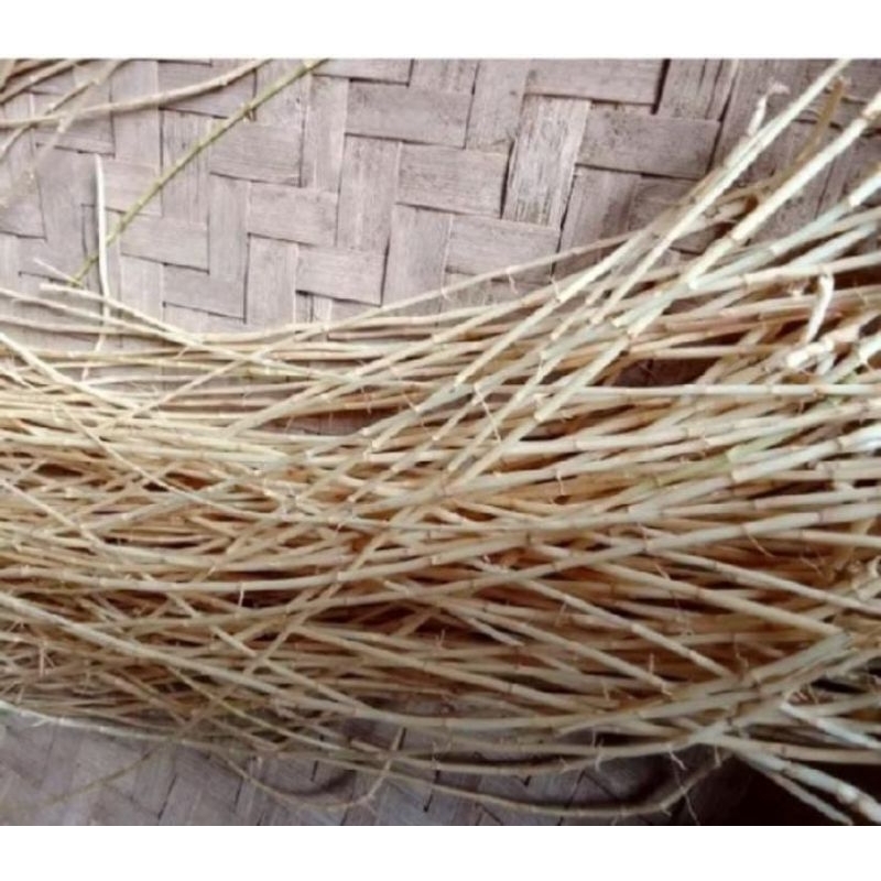 

akar Alang Alang/akar ilalang segar untuk obat herbal tanpa efek samping