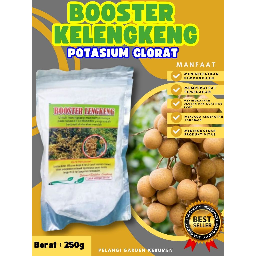 DIJAMIN ASLI  Booster Kelengkeng Berbuah, Booster Kelengkeng Berbunga, Booster Kelengkeng Cepat Berb