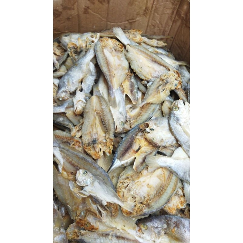 

Ikan asin kepala batu pala batu Abang Sayur Lampung