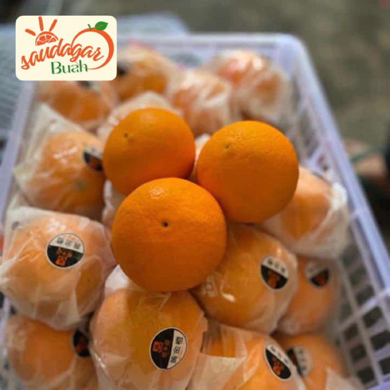 

RB Jeruk Potong Manis Non Biji SANKKIS Nevel 1Kg