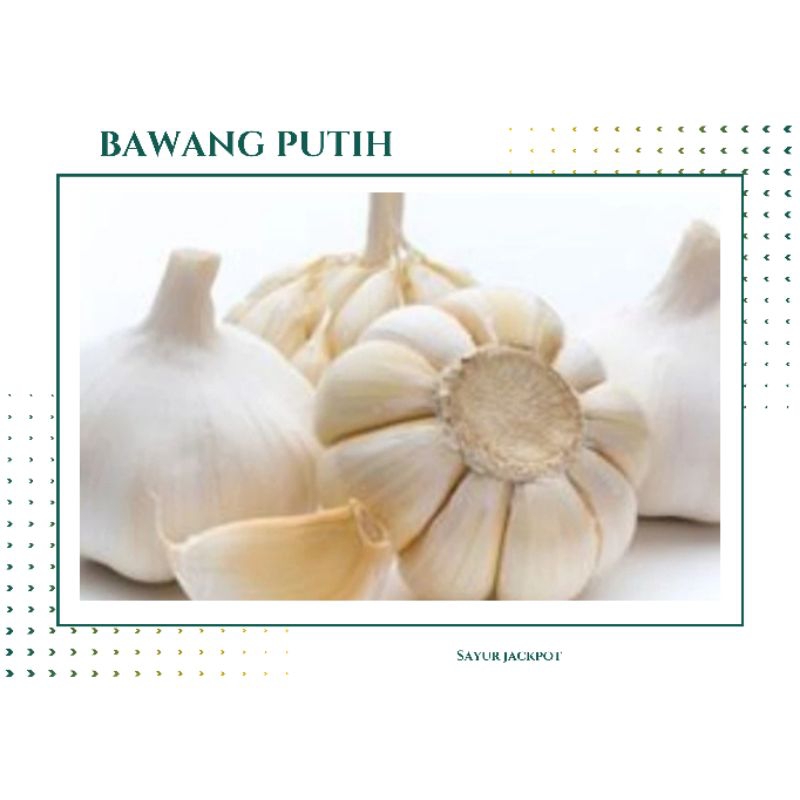

Bawang putih pilihan [ 250g ]