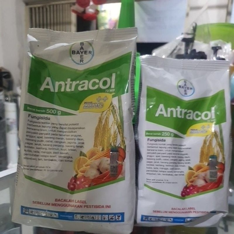 ANTRACOL 70WP 250GRAM