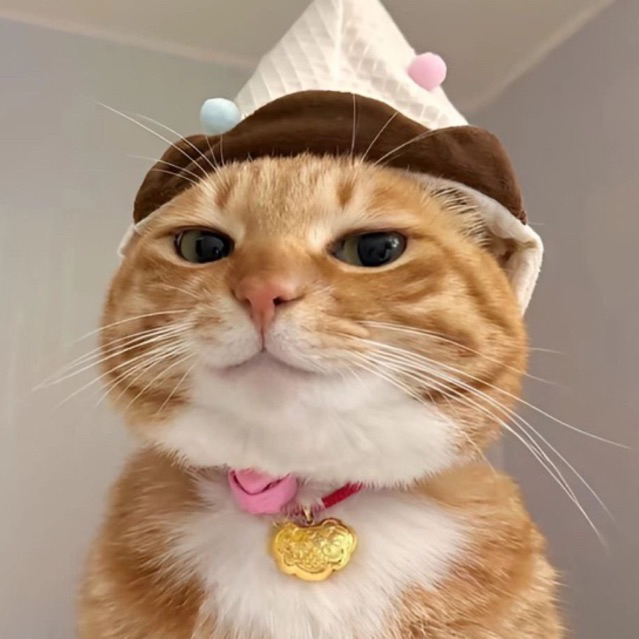 

— ₊˚⊹ Tambahan GRATONG!