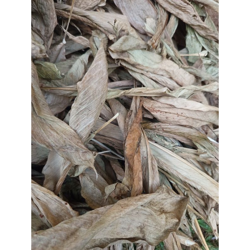 

daun kunyit kering berkualitas tinggi dan murah harga promo 500gram