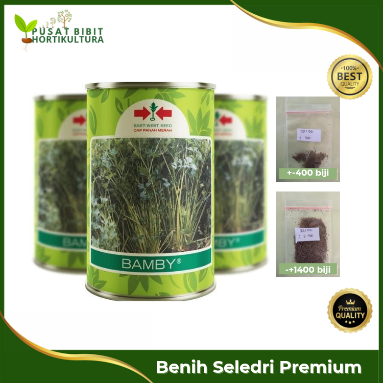 Benih Seledri Cap Panah Merah – Daun Wangi Segar, Tahan Lama, Cocok untuk Dataran Tinggi