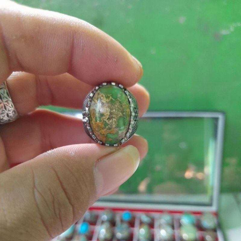 natural pirus persia hijau gradasi