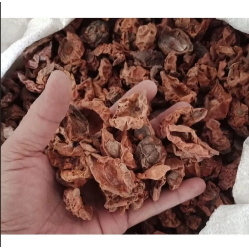 

Kulit Buah Pala Kering / Cangkang luar buah Fuli Kering alami