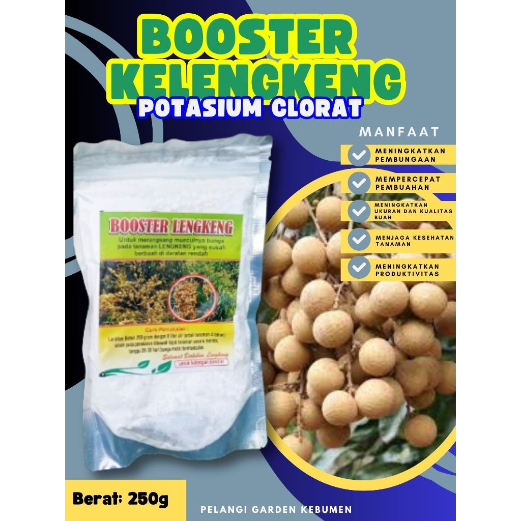 PROMO  Boster Kelengkeng Pingpong, Boster Kelengkeng Pingpong Berbuah, Boster Kelengkeng Puangray