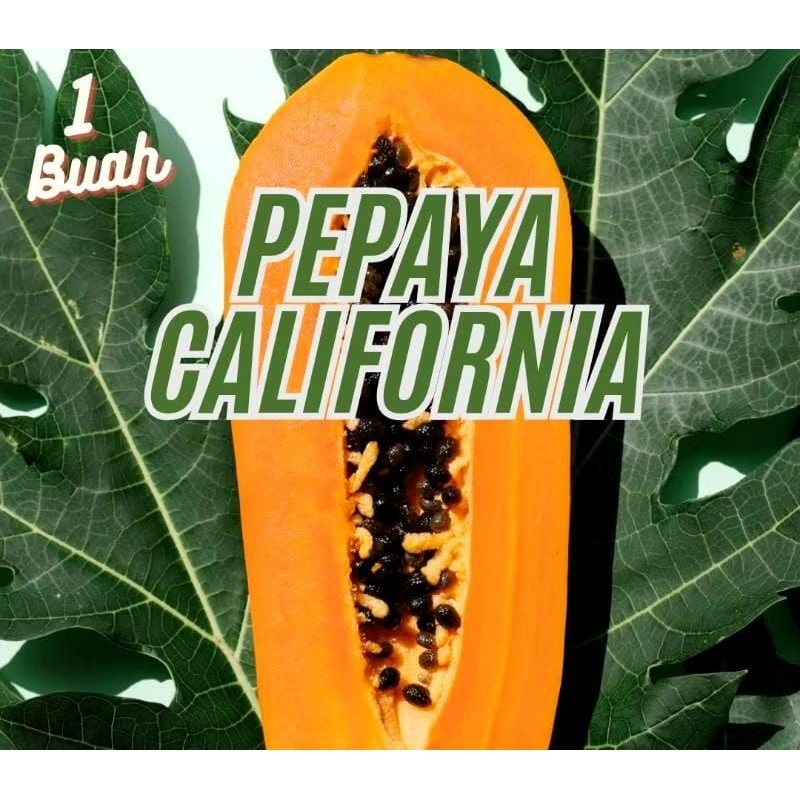 

pepaya california 1 buah