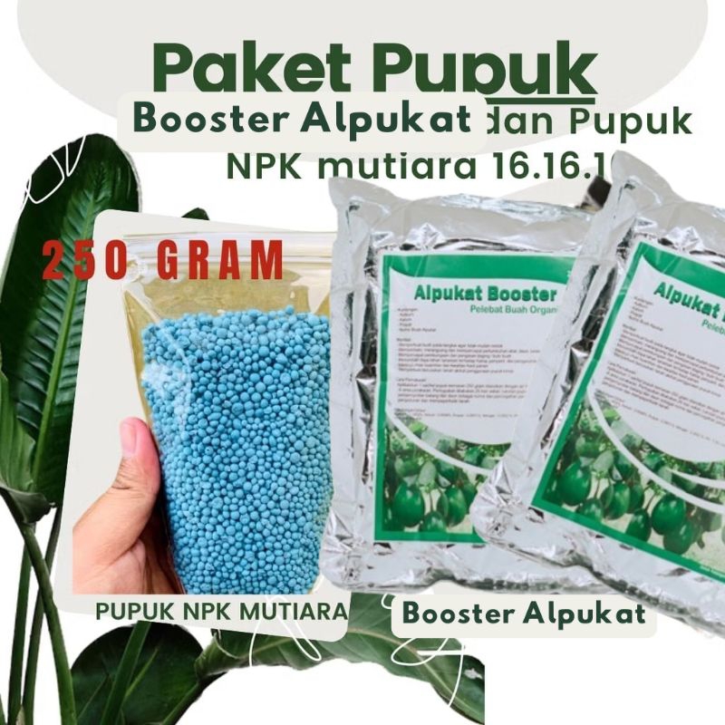 PAKET LENGKAP Pupuk Booster Lebat Buah  Pohon Alpukat Plus Pupuk NPK Mutiara 16.16.16 250 gram //  P