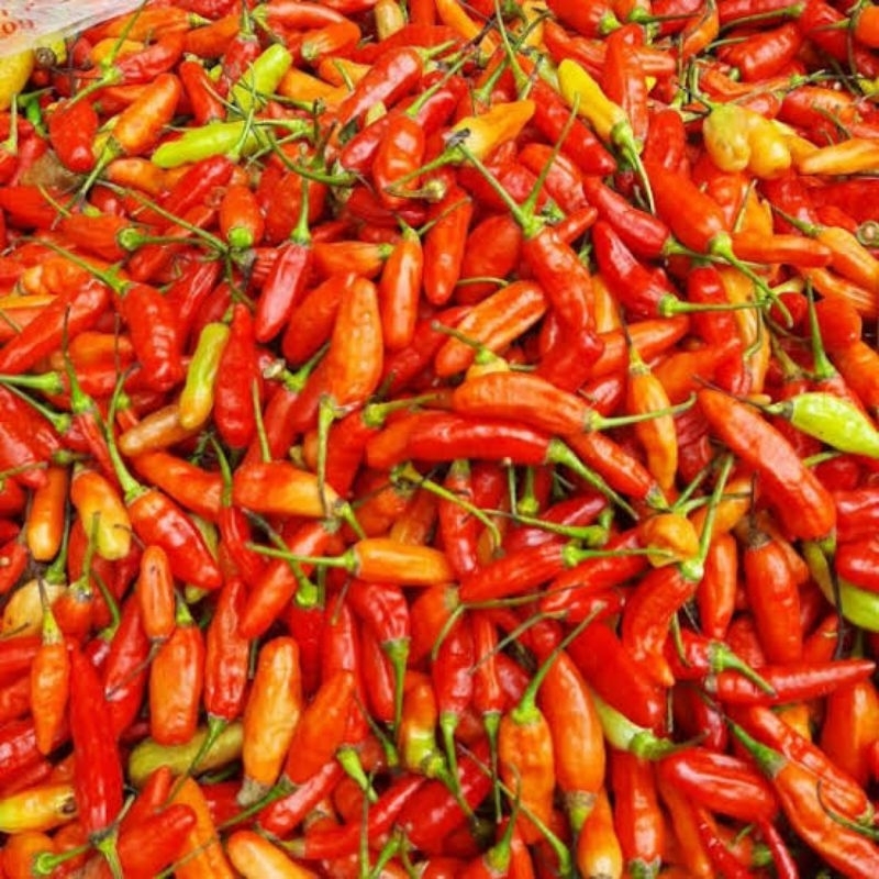 

Cabai Rawit Merah segar 100 Gram Lombok setan cabe hijau cabe keriting cabe merah
