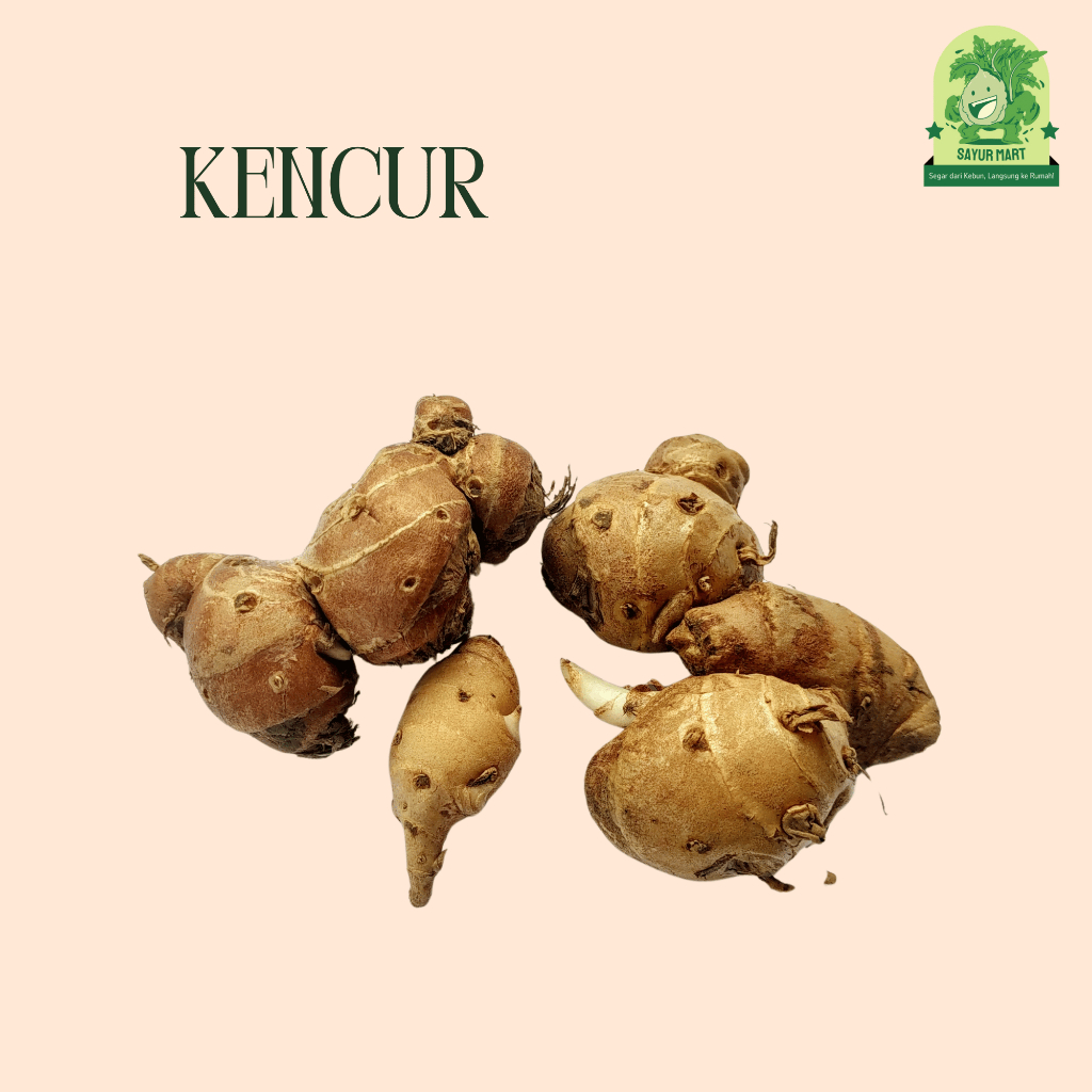 

Kencur 200 Gram