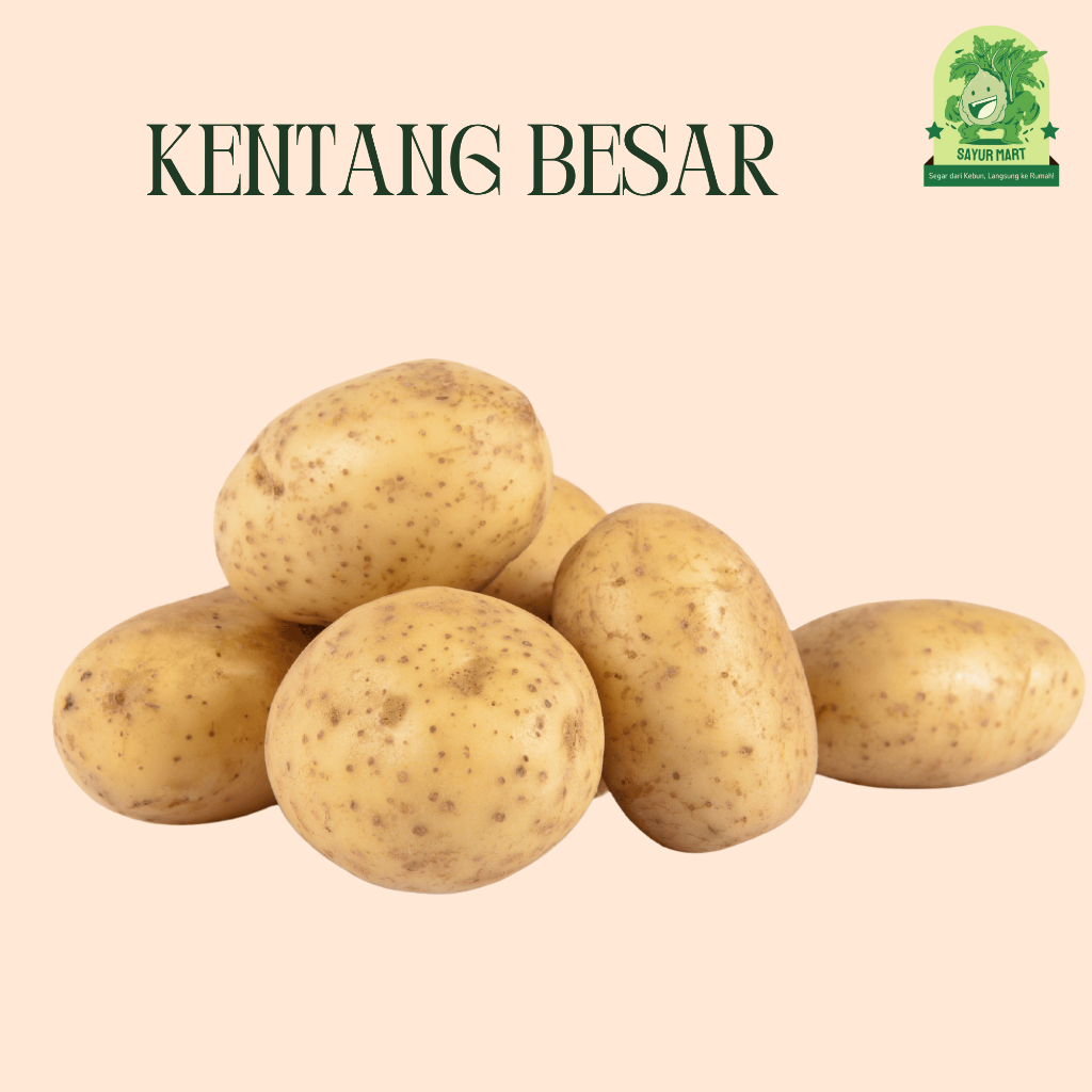 

Kentang Besar 500 Gram