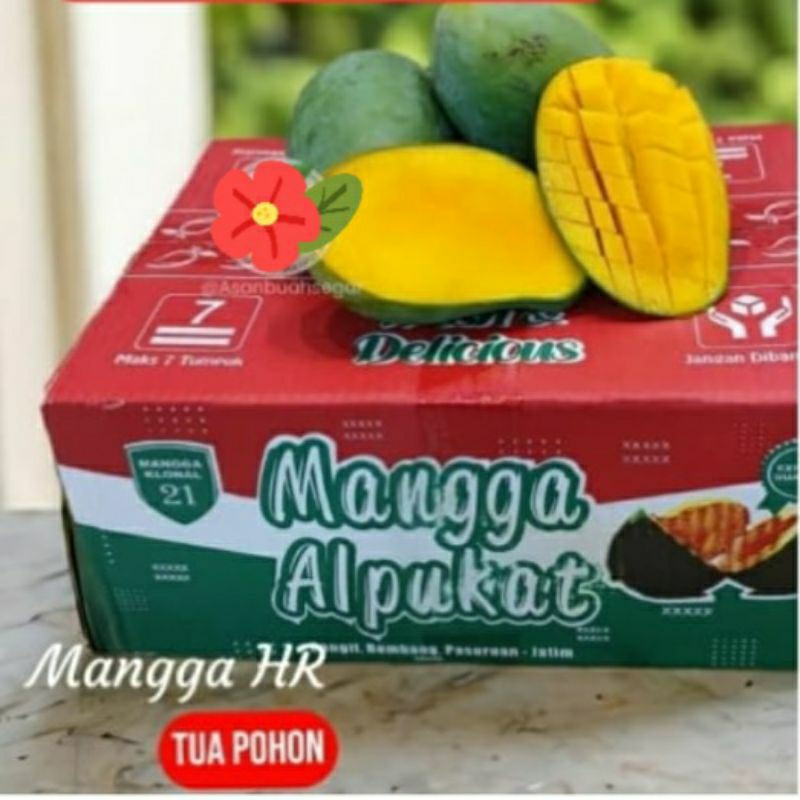 

mangga alpukat 5kg dus