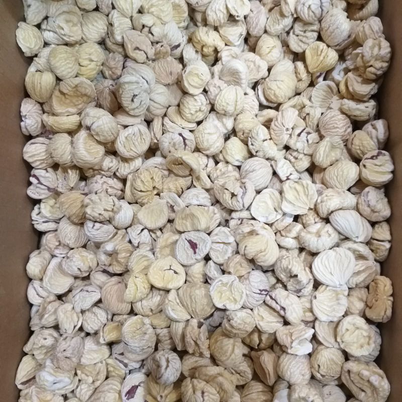 

Chestnuts Latchi 1 Kg / Bakcang Lakchi / Buah Laci