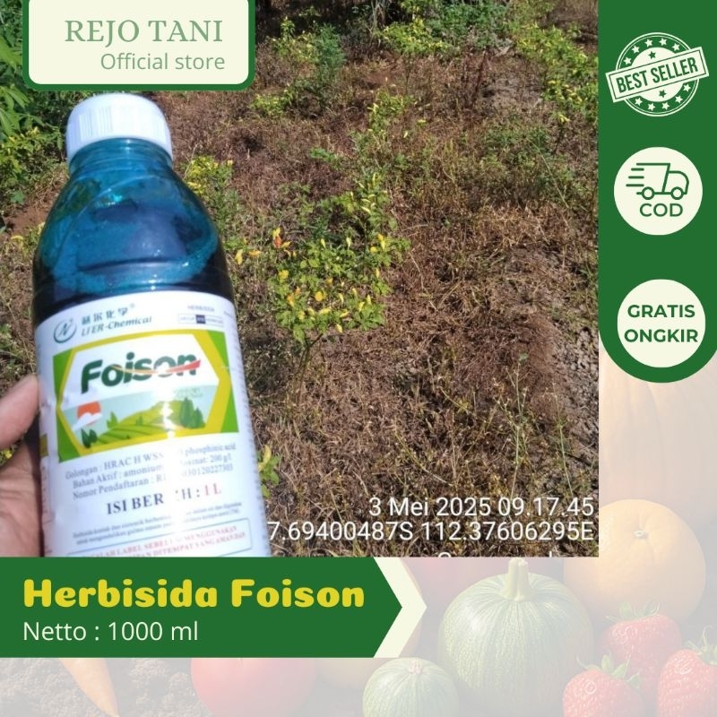 Foison 1L 200 g/L Glufosinat-Amonium | Herbisida Kontak sampai akar | OBAT RUMPUT TEKI | OBAT untuk 