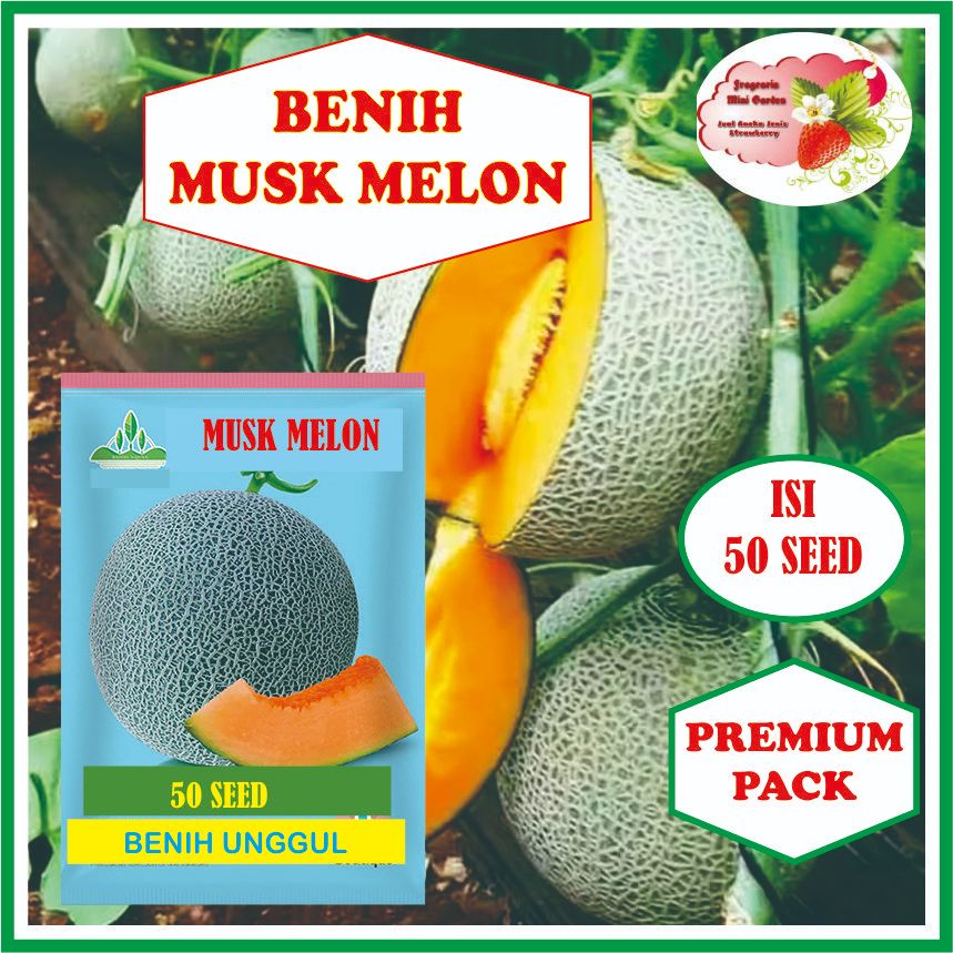 BENIH MELON ,MUSK MELON ISI 50 BIJI