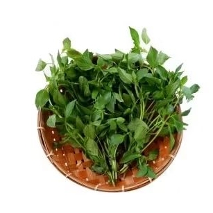 

Sayuran daun kemangi 4ikat