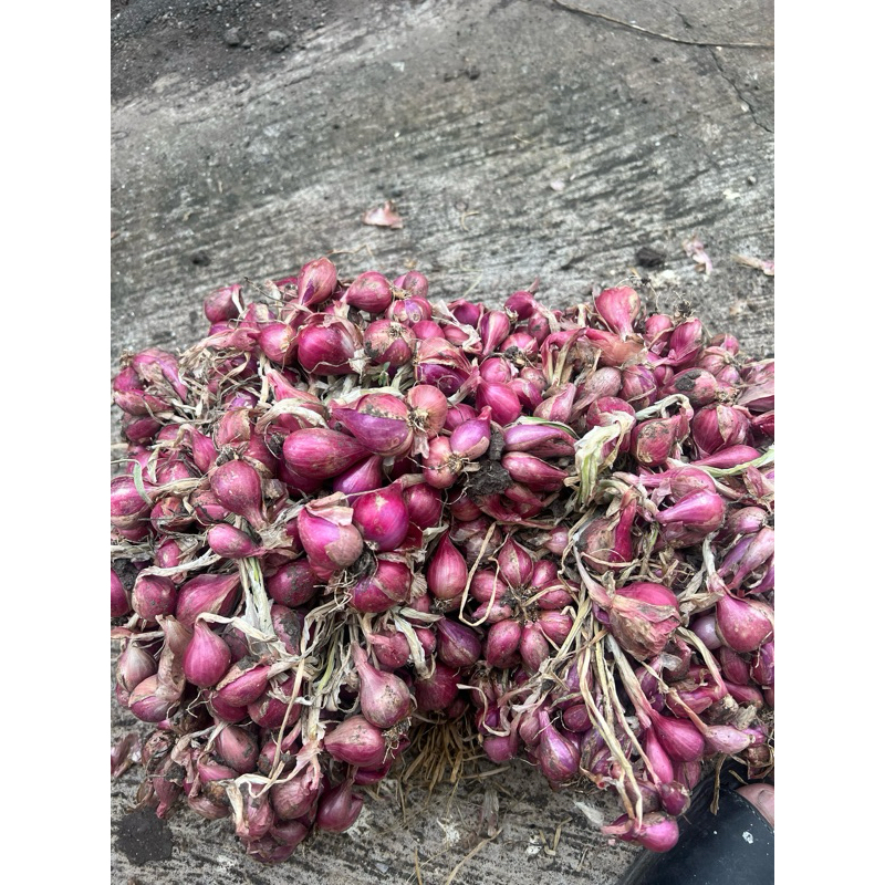 

bawang merah probolinggo 1kg