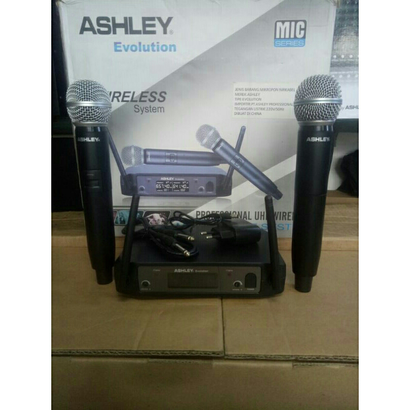 mic werles ashley