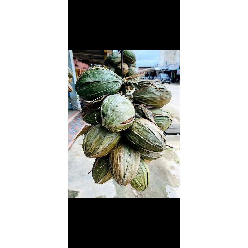 

Gula Aren 100% Asli Cibaliung - Banten