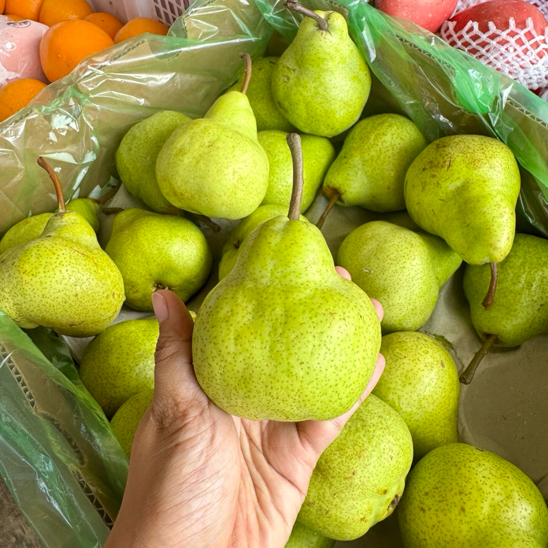 

Buah PEAR Packam 1 kg / Buah Pear