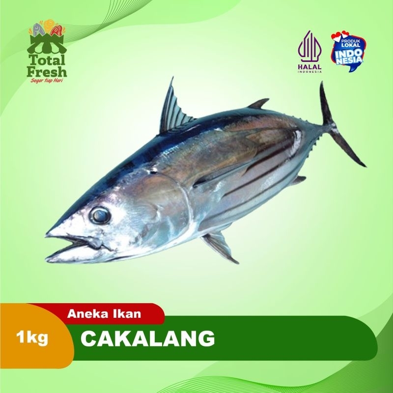 

Ikan Cakalang [900Gram - 1Kg]