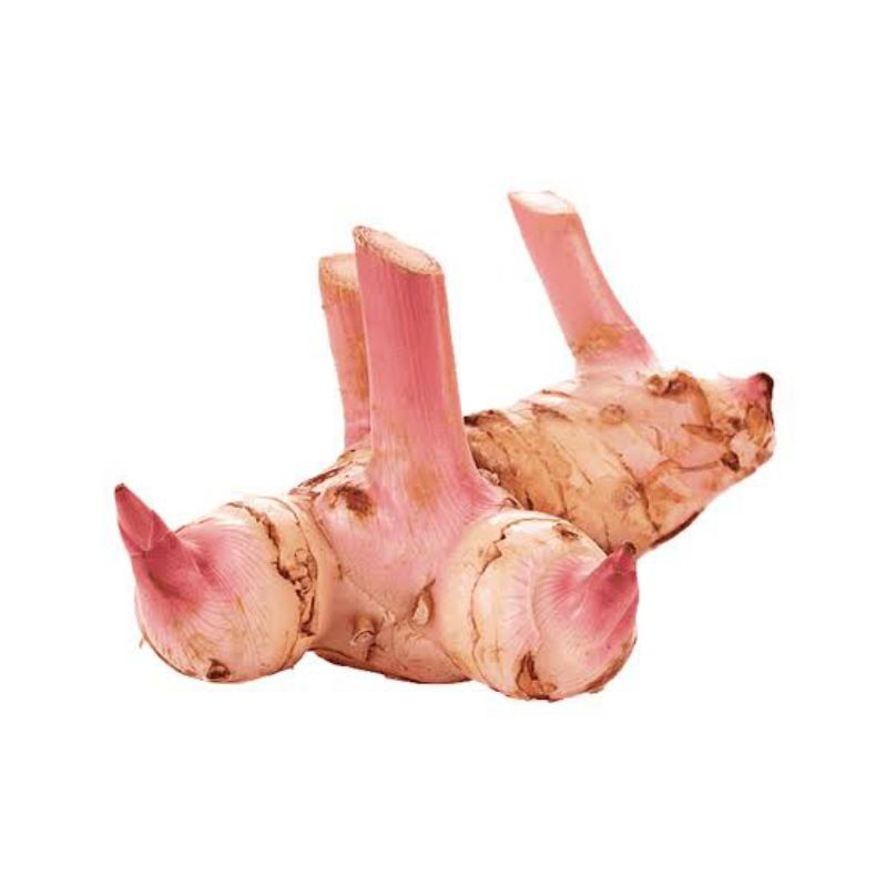 

LENGKUAS/LAOS FRES SEGAR/DICUCI BERSIH 95%/1 KG