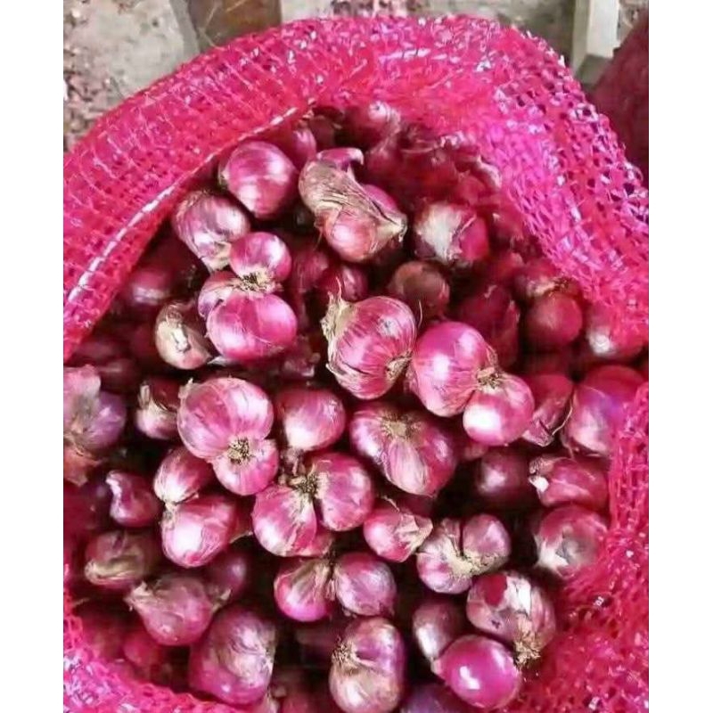 

BAWANG INYONG Bawang merah campur asli Brebes 250gr bawang merah kering termurah yang paling banyak dicari bawang merah bumbu masak