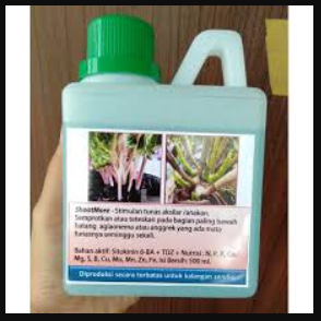 Shootmore (Perangsang Tunas)