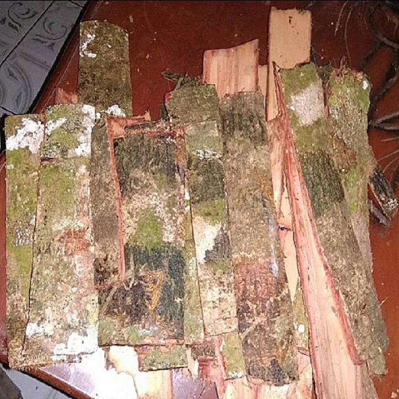 

250 g Kulit pohon jengkol