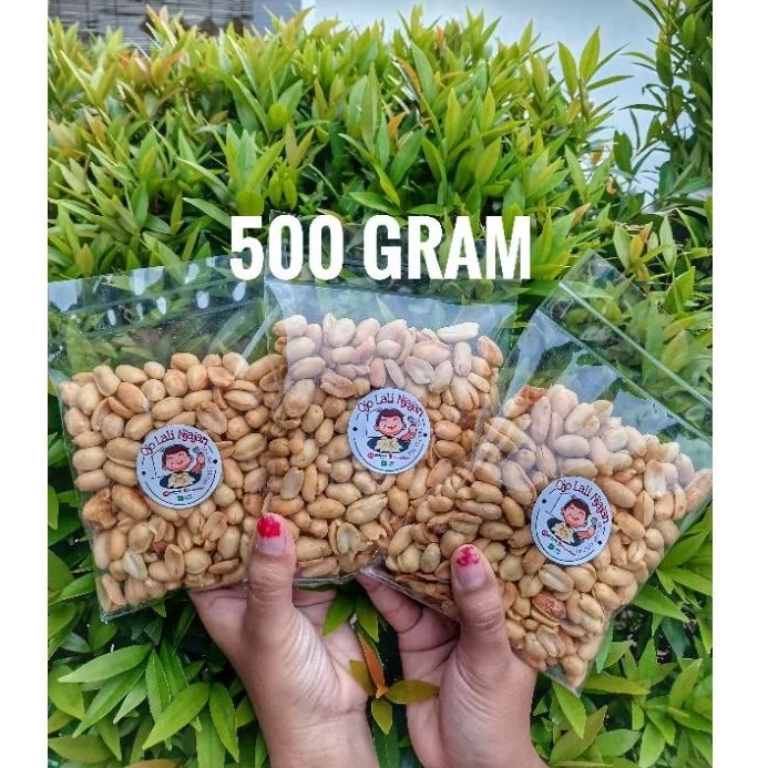 

500 Gram - Kacang Bali Gayatri / Kacang Bali Gayatri Kacang Bawang