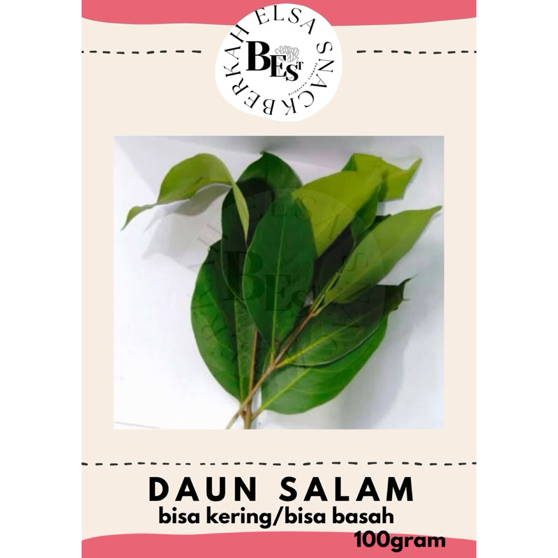 

DAUN SALAM SEGAR 100gram|| BISA KERING/BISA BASAH DAUN SALAM SEGAR