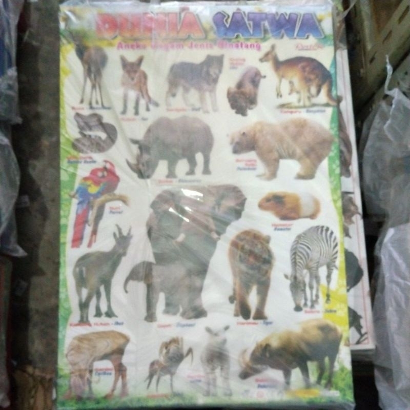 Poster Dunia Satwa