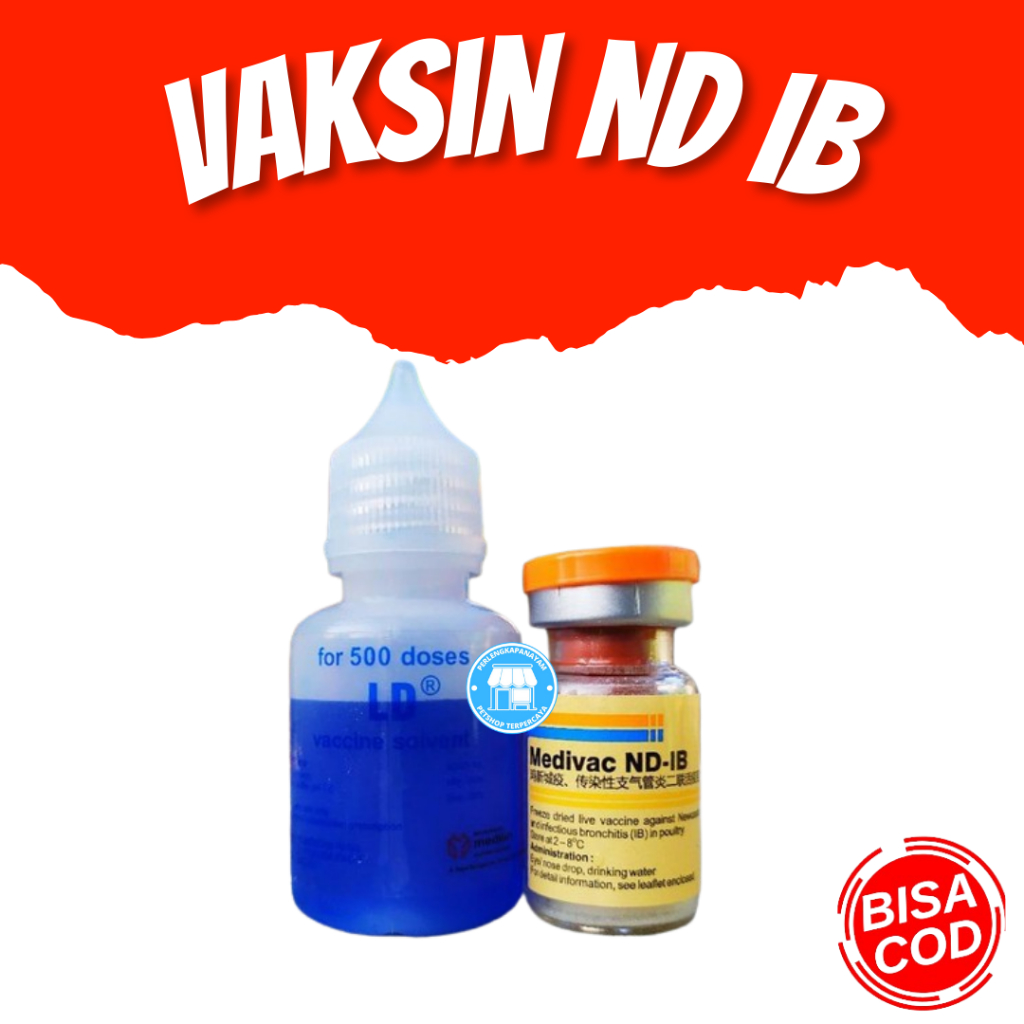 VAKSIN ND IB Dosis 500 Ayam Tetelo dan Infeksius Bronkitis Newcastle