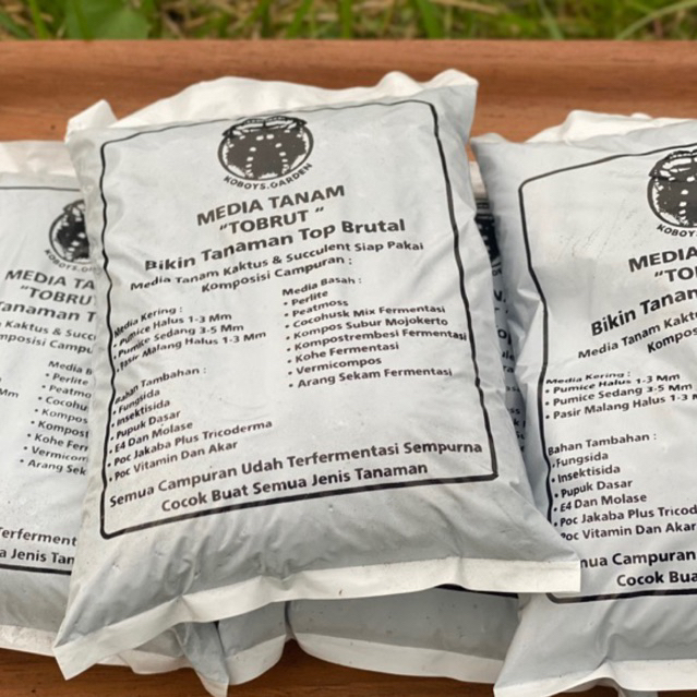PREMIUM MEDIA TANAM | kaktus sukulen siap pakai