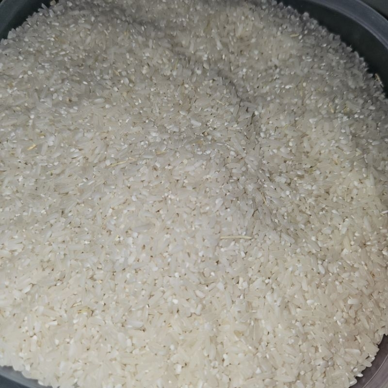 

Beras Pulen 1kg Hasil Panen Sendiri