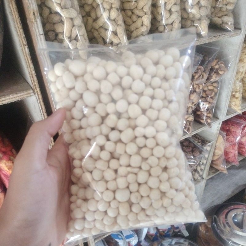 

pilus kencur