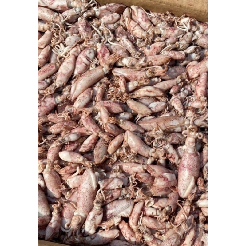 

Cumi asin 250 gram