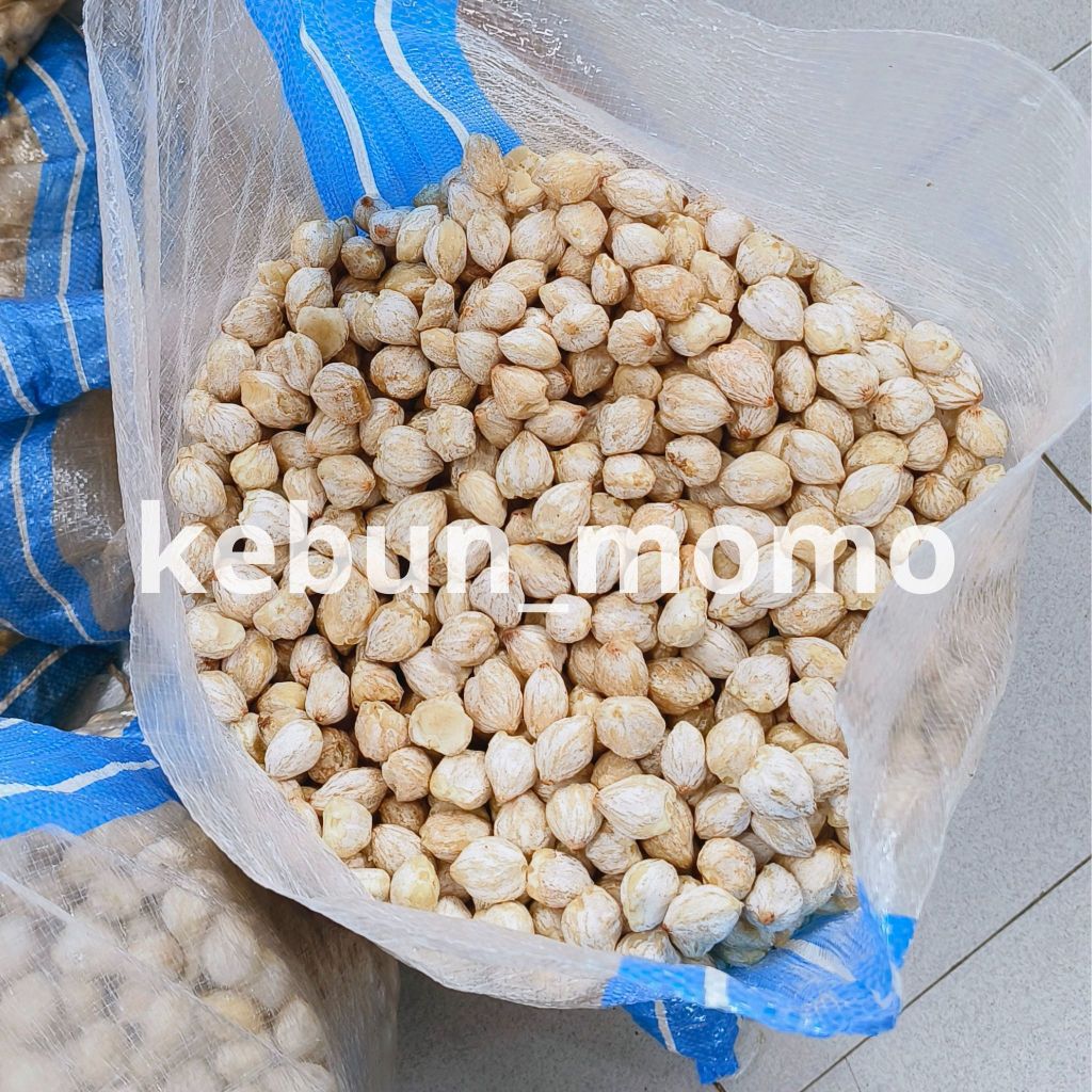

KEMIRI BULAT UTUH SUPER 1 KG