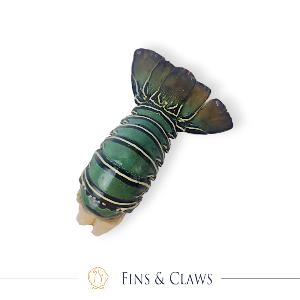 

Frozen Indonesian Spiny Lobster Tail
