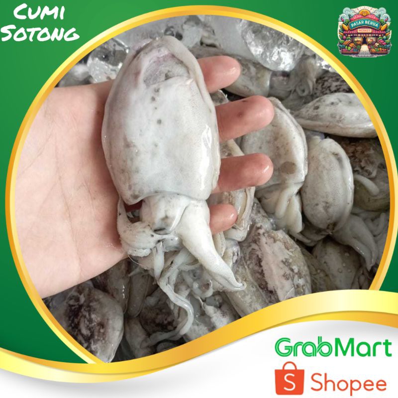 

Cumi Sotong 500gram ~ Murah Pasar Induk Daring