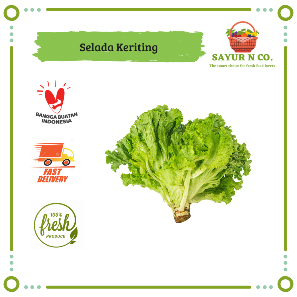 

Selada Keriting / Green Lettuce Segar | Sayur N Co Bekasi