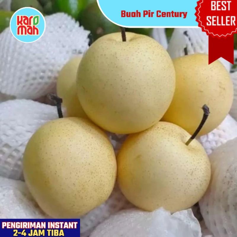 

BUAH PIR CENTURY 1 KG ISI 4 BUAH MANIS FRESH / BUAH PEAR PUTIH CENTURY IMPORT BUAH SEGAR