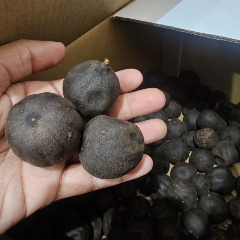 

Lemon Aswad Lemon Hitam Kering Bahan Campuran Khas Arab