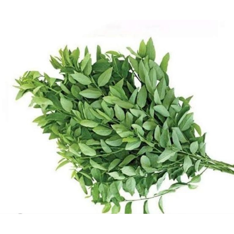 

Daun katuk segar petik langsung perikat-az