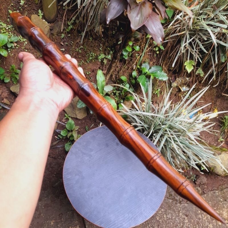 Golsem Zambia cacing