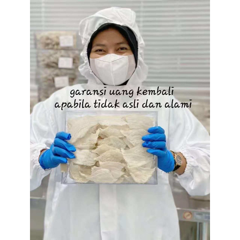 

Sarang Burung Walet Patahan Sedang Bersih Proses Alami Natural 100 gram