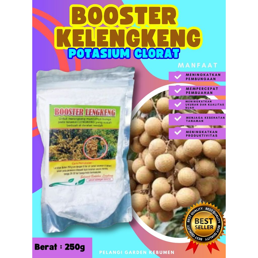 TERBAIK ! Boster Kelengkeng Aroma Durian